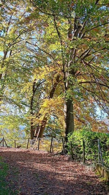 Antica Torre Del Castello Casa Ceresiana Villa Carabietta Dış mekan fotoğraf